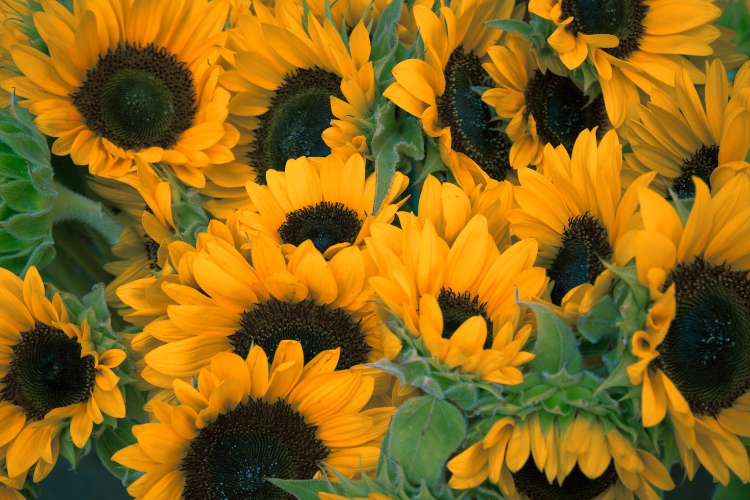 Creative Ways to Display Floral Arrangements